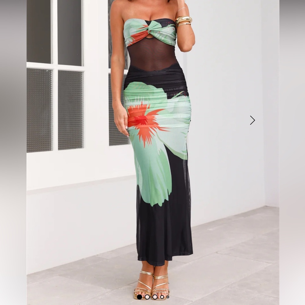 HELLO MOLLY Pinch Of Color Strapless Mesh Maxi